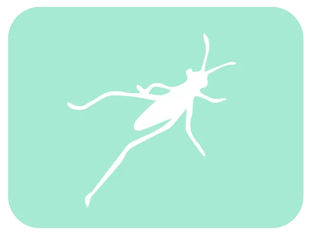 Grasshopper
