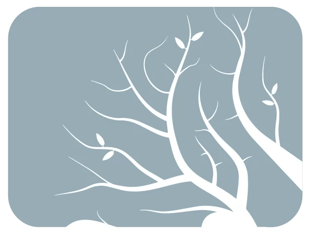 Lumion logo